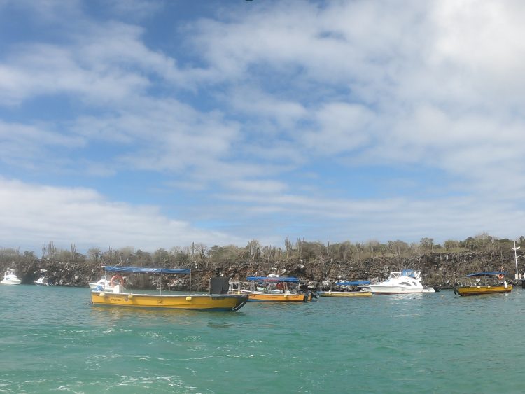 water taxi