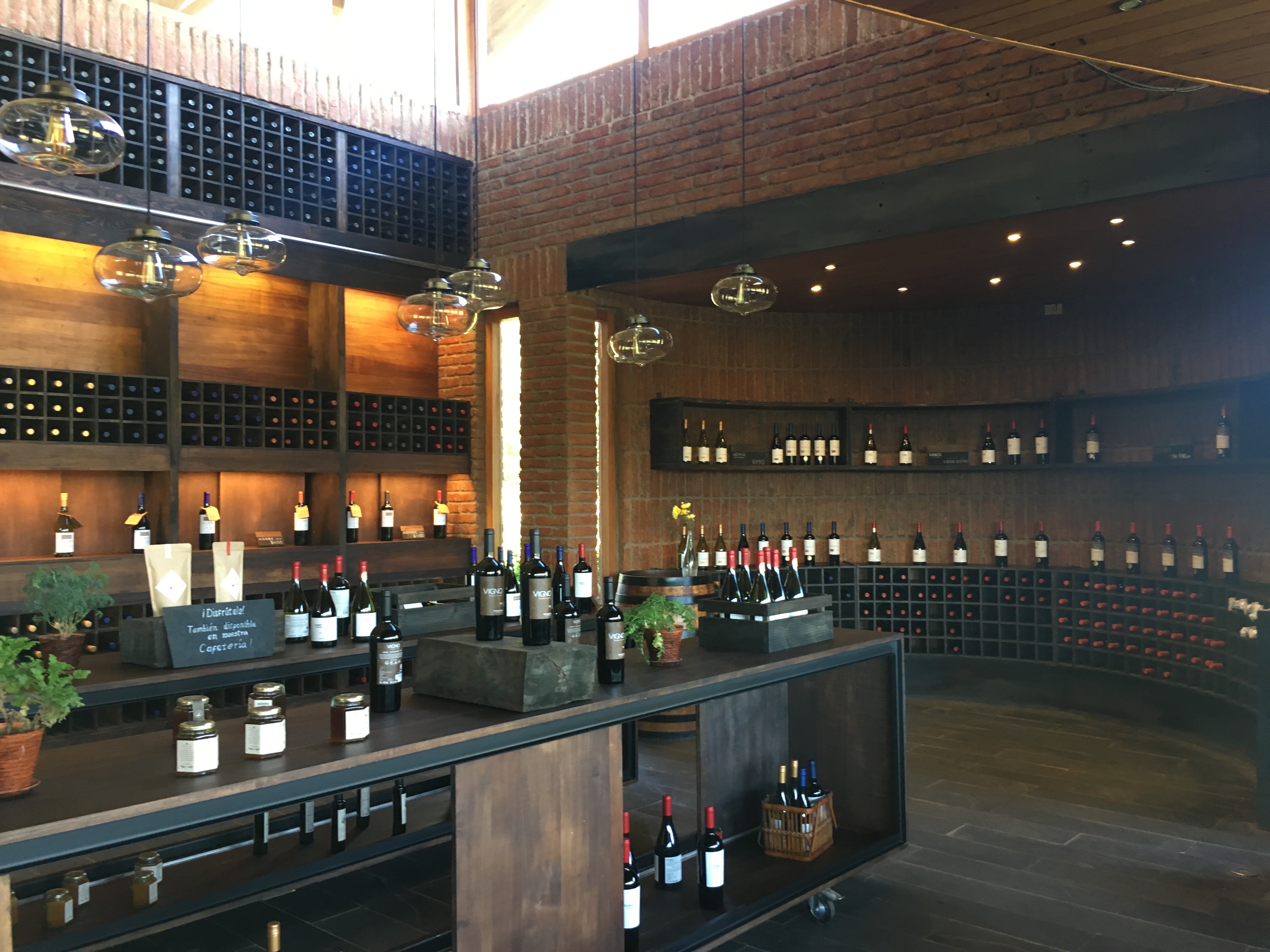 emiliana winery chile