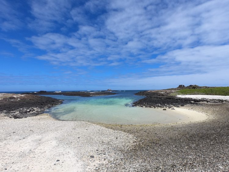 galapagos beach san cristobal.JPG