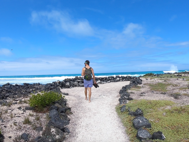 galapagos beaches