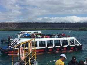 galapagos ferry
