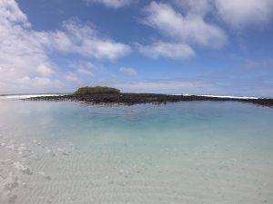 galapagos pool