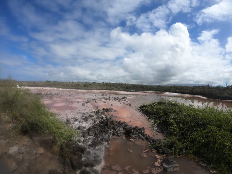 galapagos salt flat