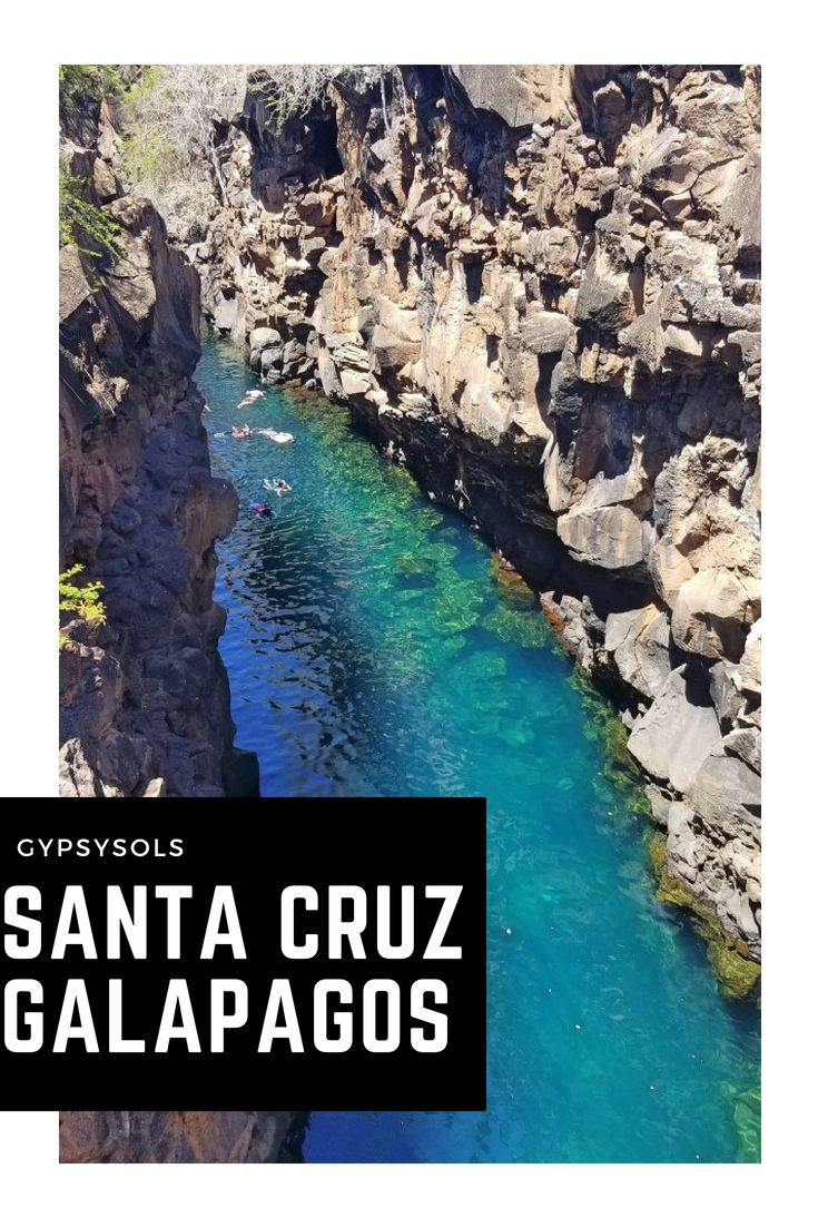 Galapagos Santa Cruz