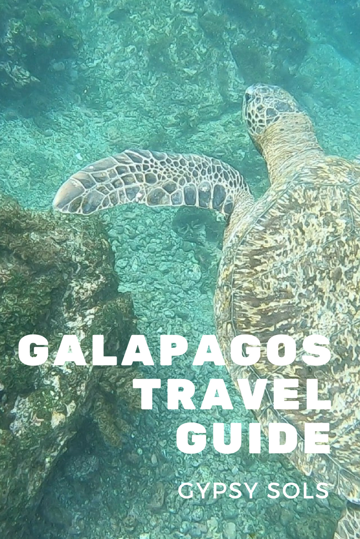 Galapagos Travel Guide