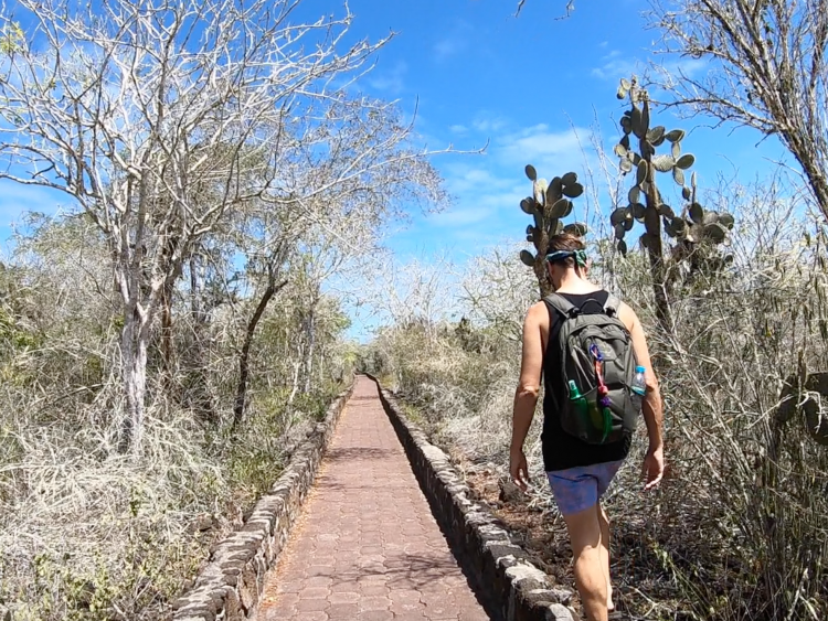 hike to tortuga bay