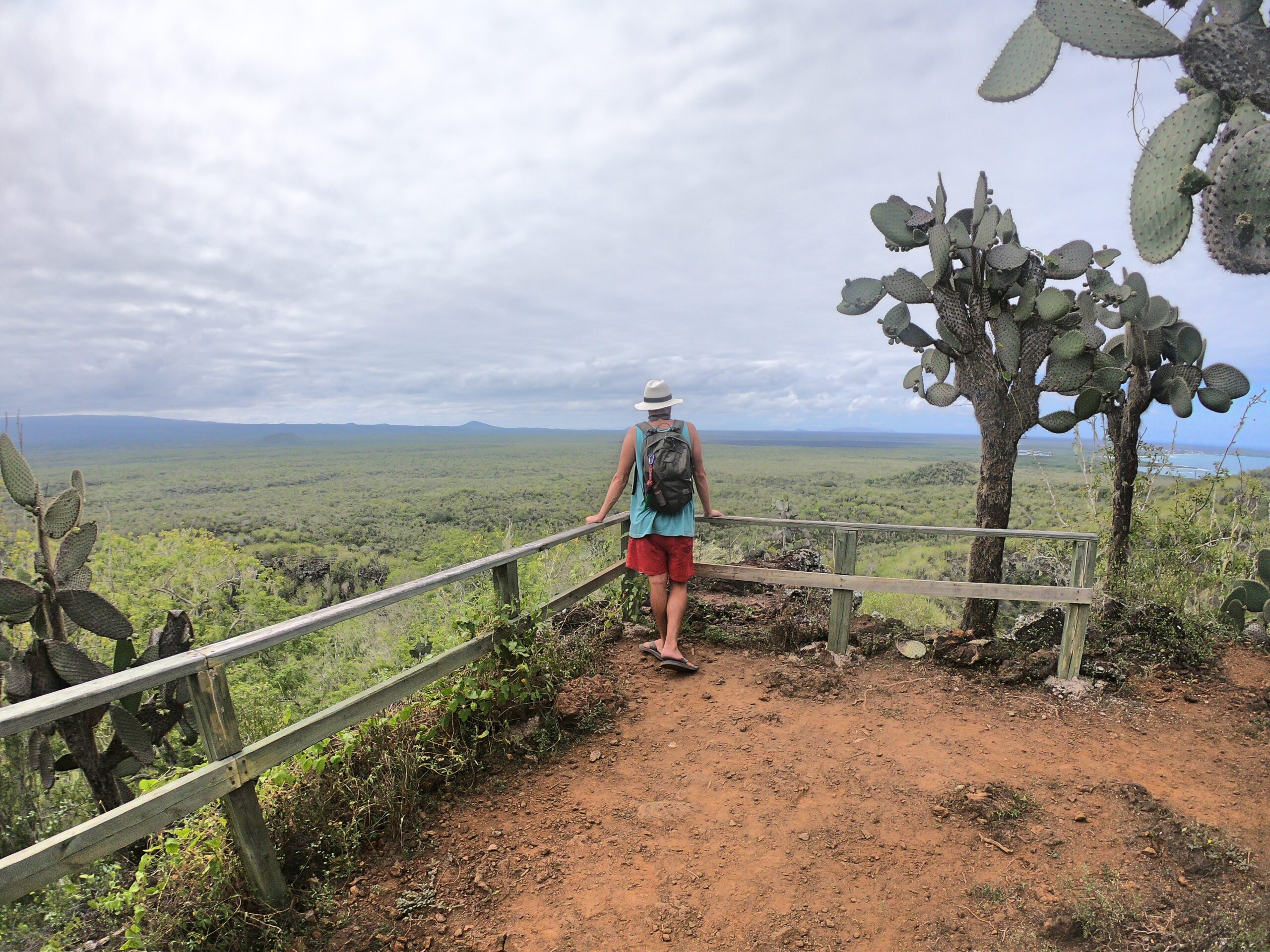 isabela views galapagos