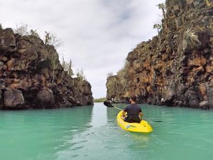 kayaking santa cruz