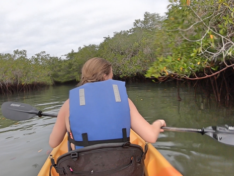 kayaking tortuga bay