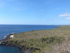 kicker rock view