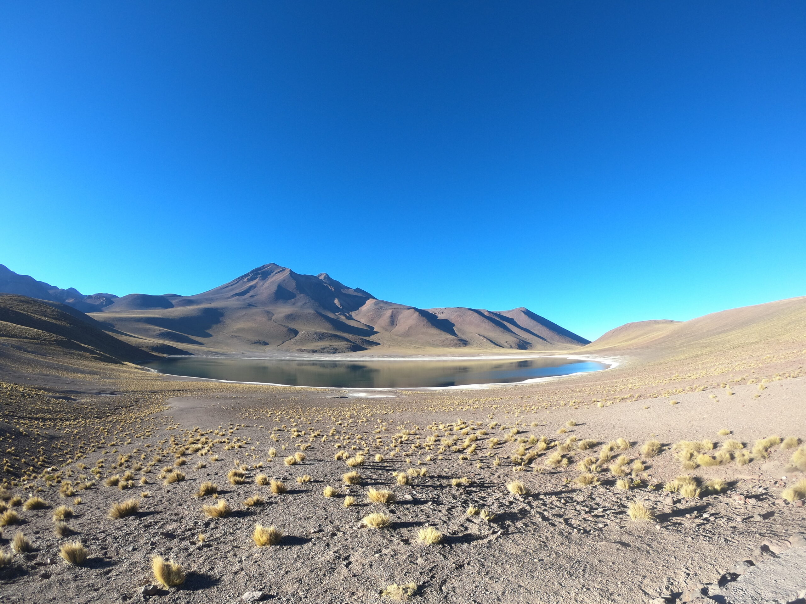 lagunas altiplanicas