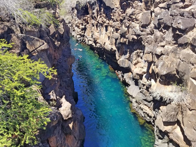 las grietas santa cruz galapagos