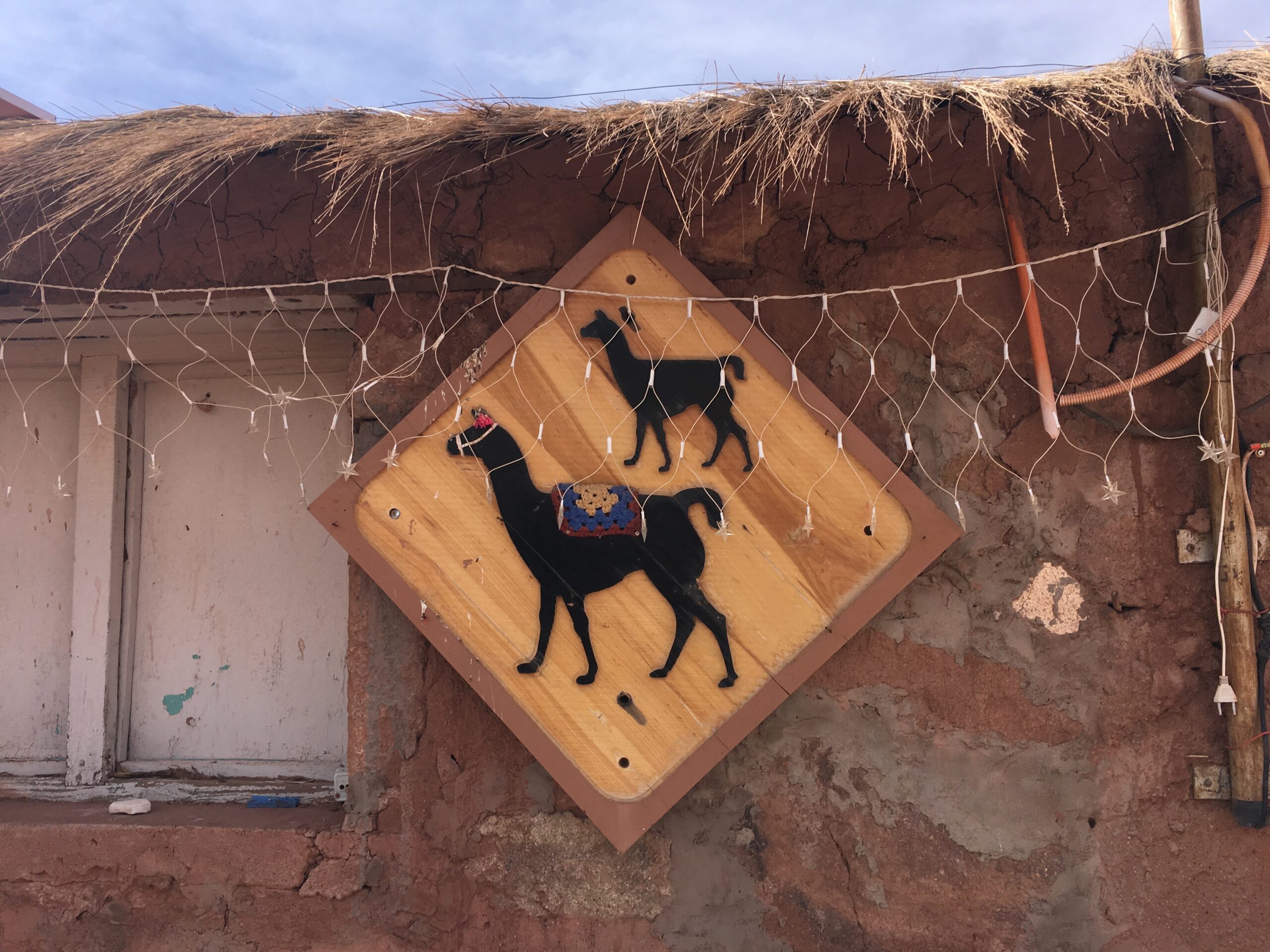 llama crossing