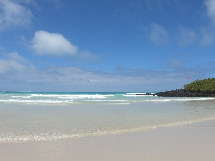 ocean in galapagos