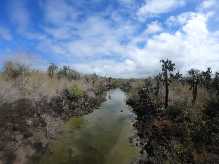 river galapagos