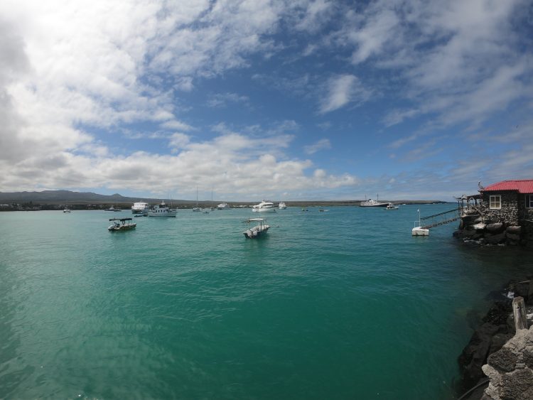 santa cruz galapagos