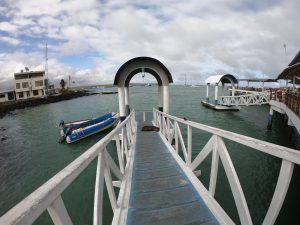 santa cruz galapagos