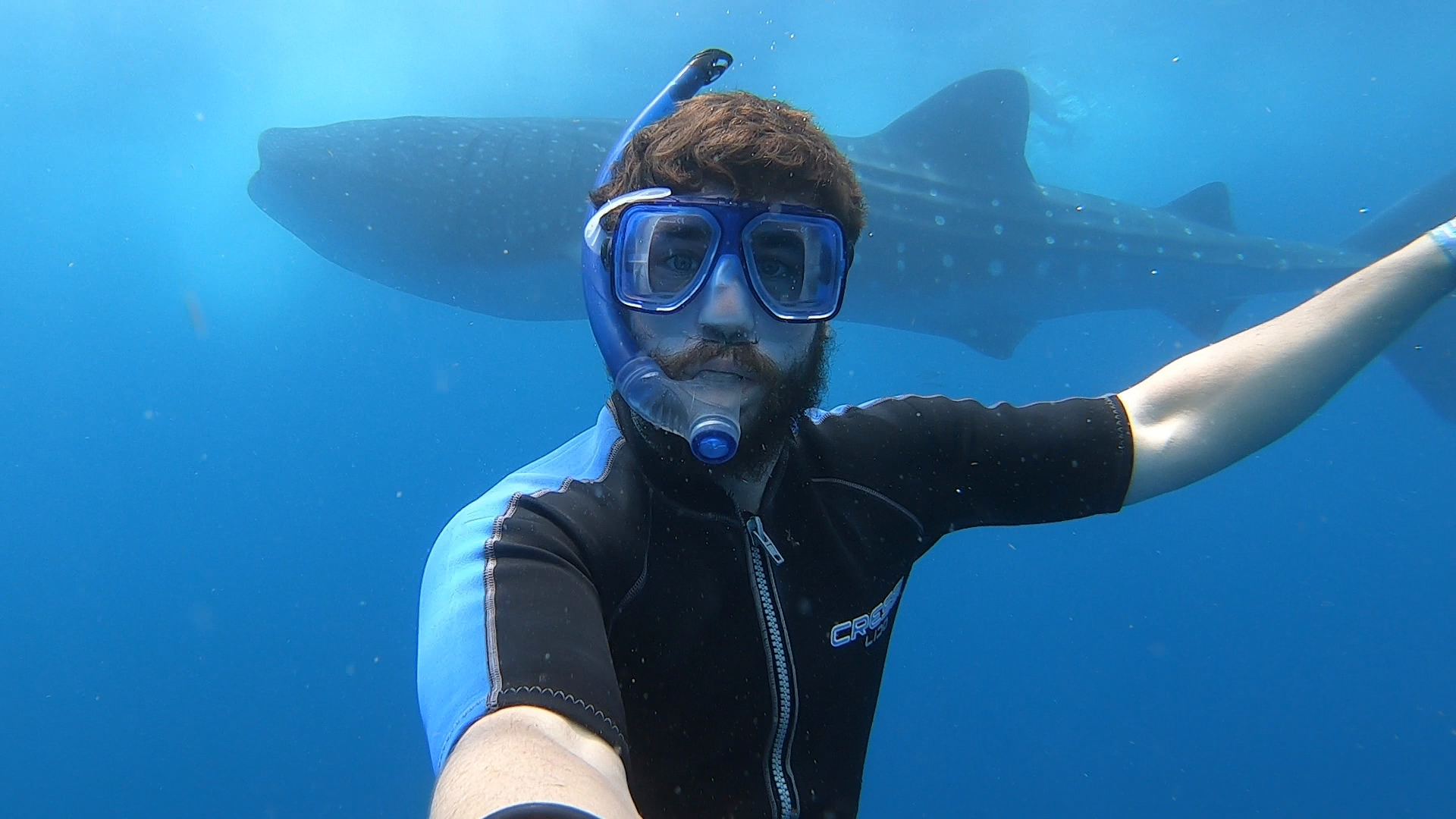 selfie with whale shark