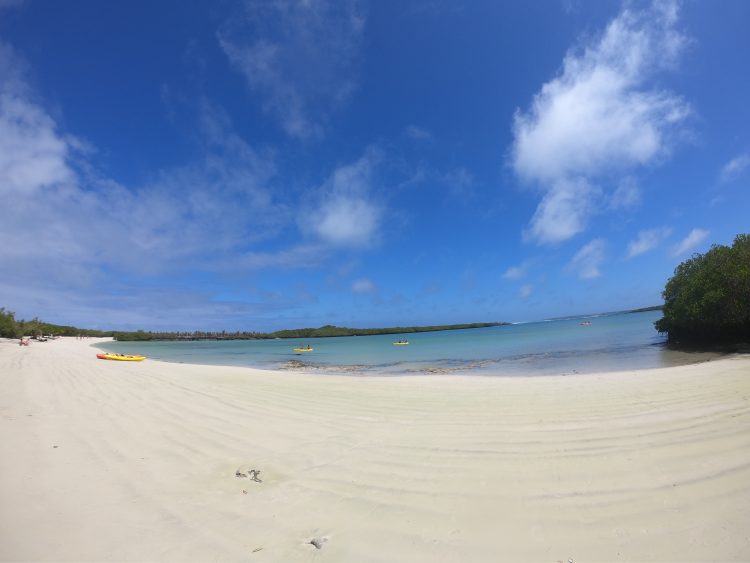 tortuga bay galapagos