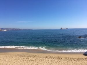 vina del mar chile santiago day trip