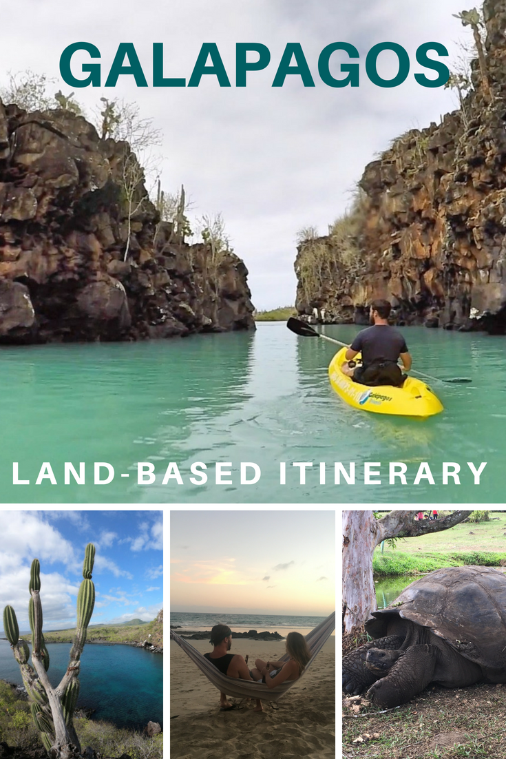 Complete travel guide to the Galapagos Islands. DIY Land based itinerary for the Galapagos. #GypsySols #Galapagos #GalapagosIslands #scuba #LandBasedItinerary #GalapagosItinerary #GalapagosTravel #travel #bucketlist #GalapagosAnimals #nature #adventure #nomad #southamerica #ecuador #sancristobal #isabela #santacruz #360tour #kickerrock #hammerhead #galapagosDIY