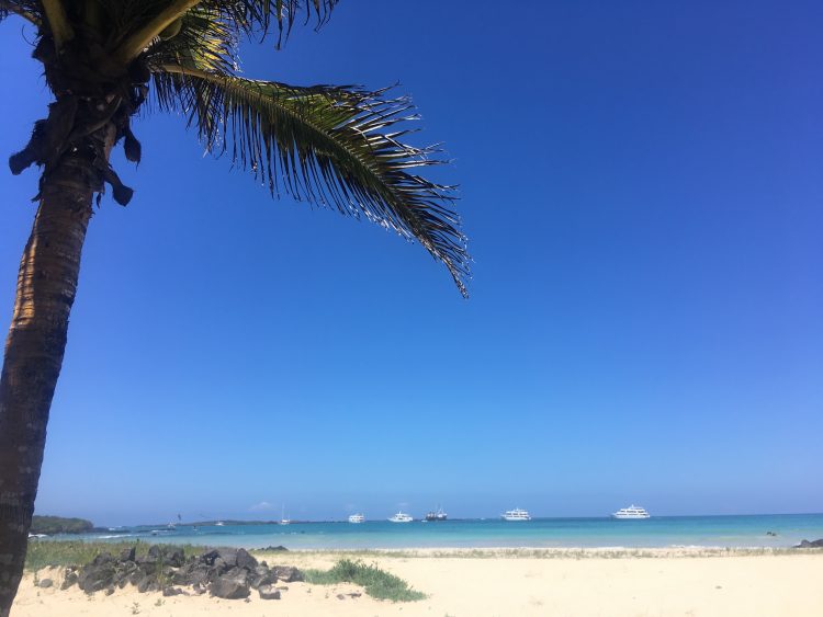 galapagos beach