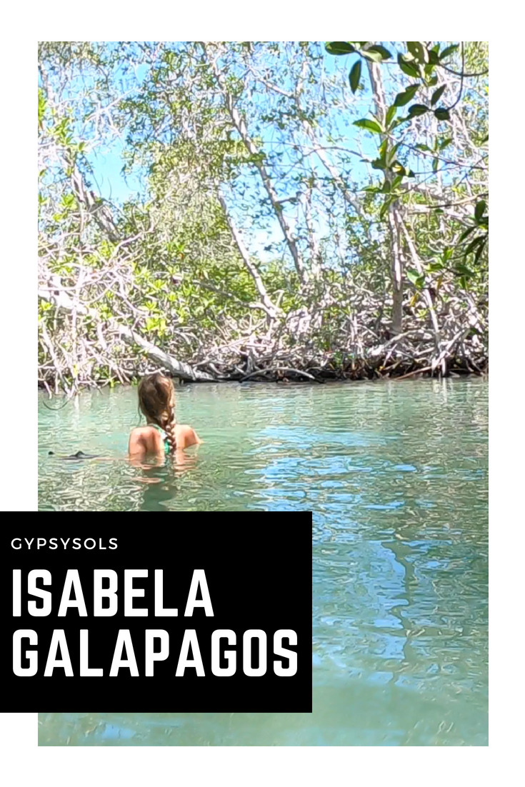 Galapagos Isabela Travel Guide