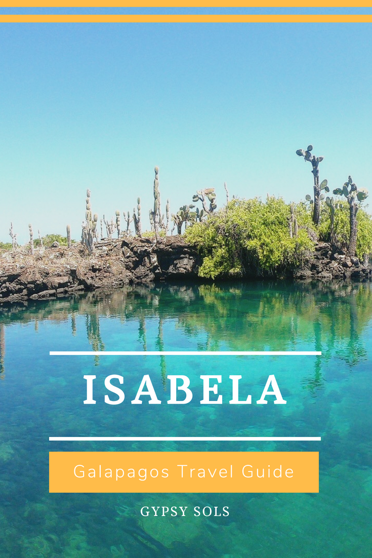 Isabela Galapagos Travel Guide
