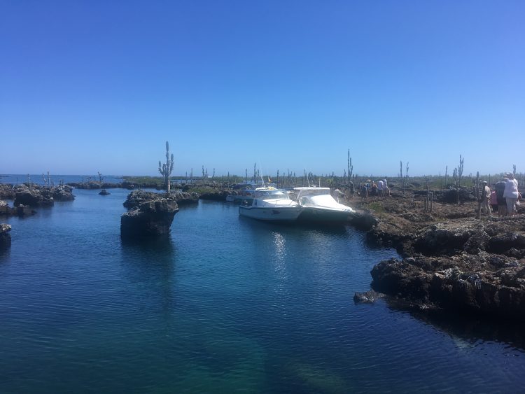 tour in galapagos