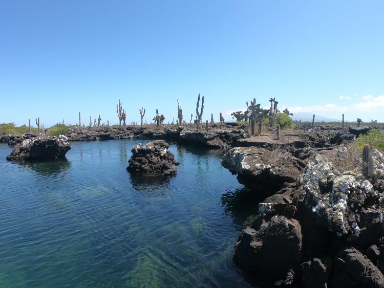 tunnels tour galapagos