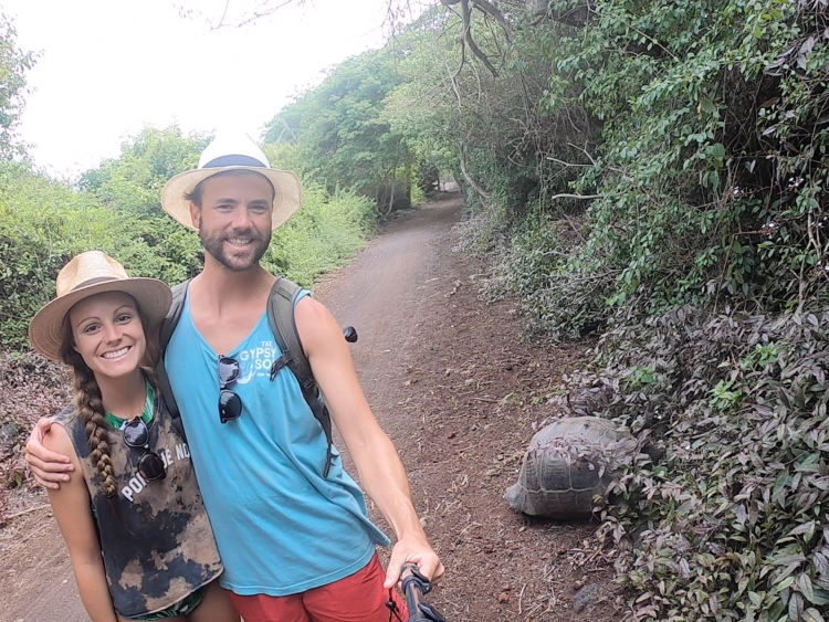 turtle selfie