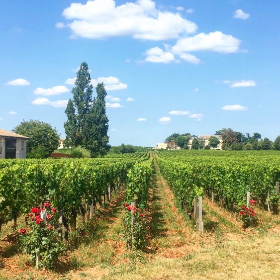 bordeaux chateau