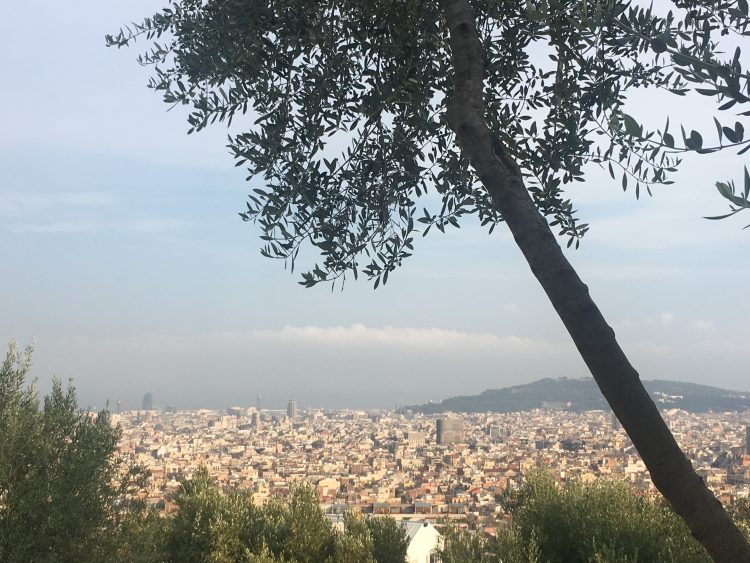view from park guell