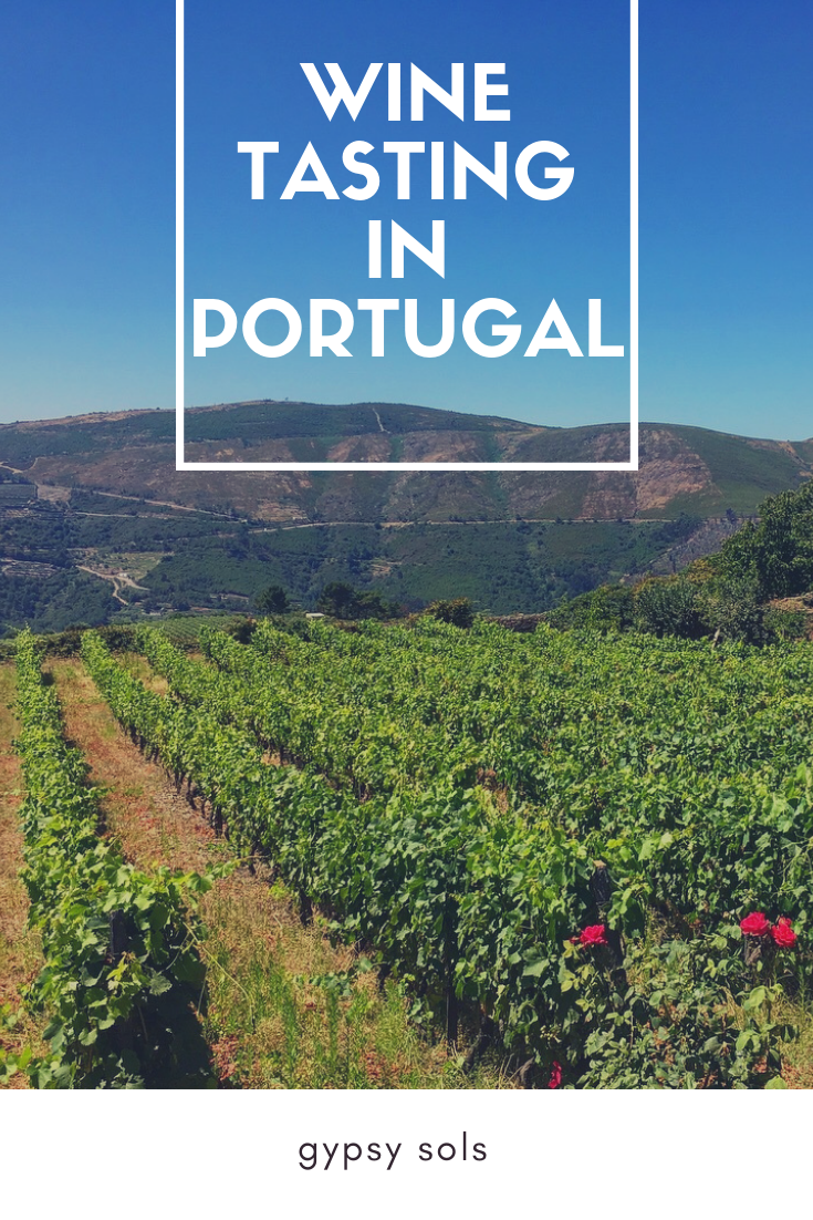 wine tasting in Portugal and Dour Valley