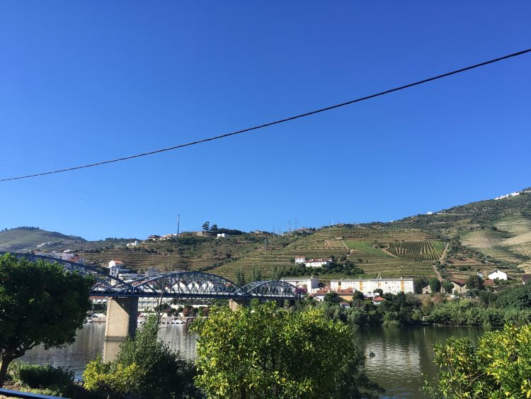 wine tasting room portugal