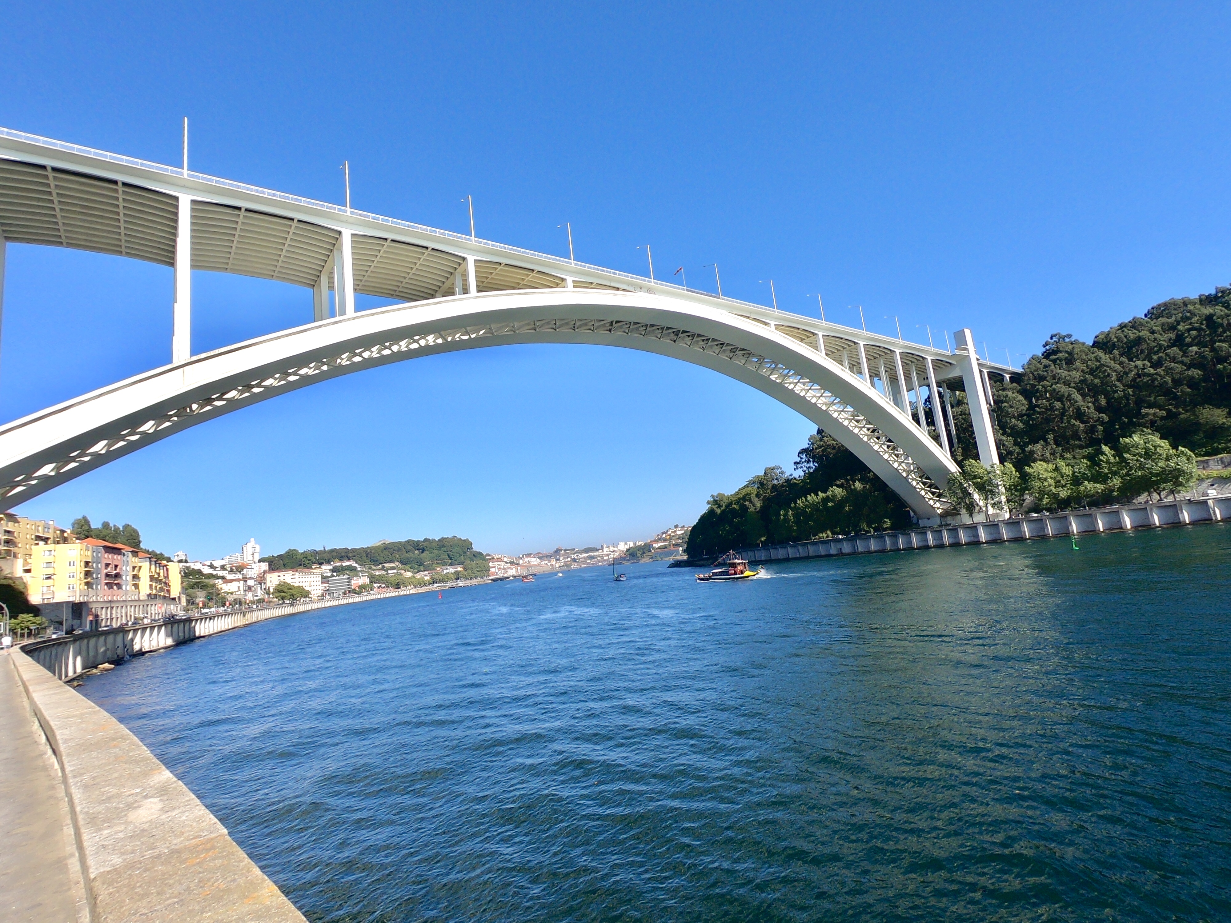bridge porto