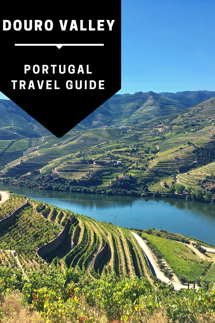 Douro Valley pin