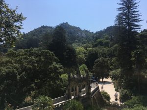 sintra forest