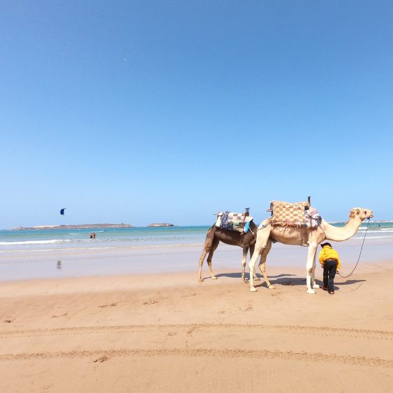 morocco beach