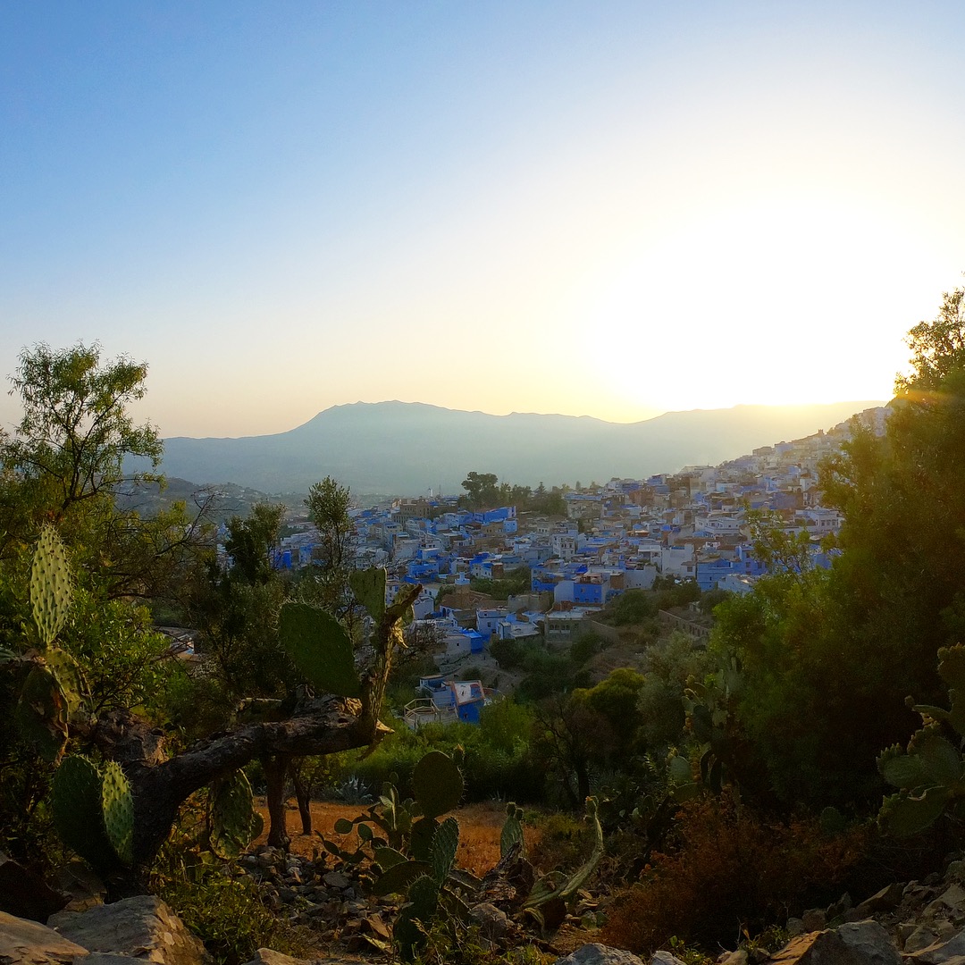 chefchaouen cactus