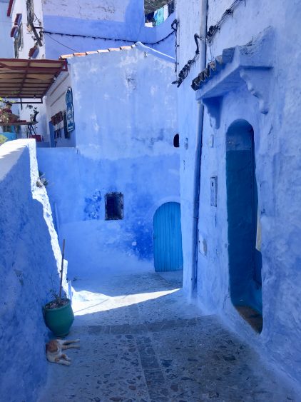 blue pearl in morocco