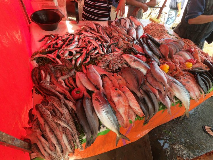 essaouira fish