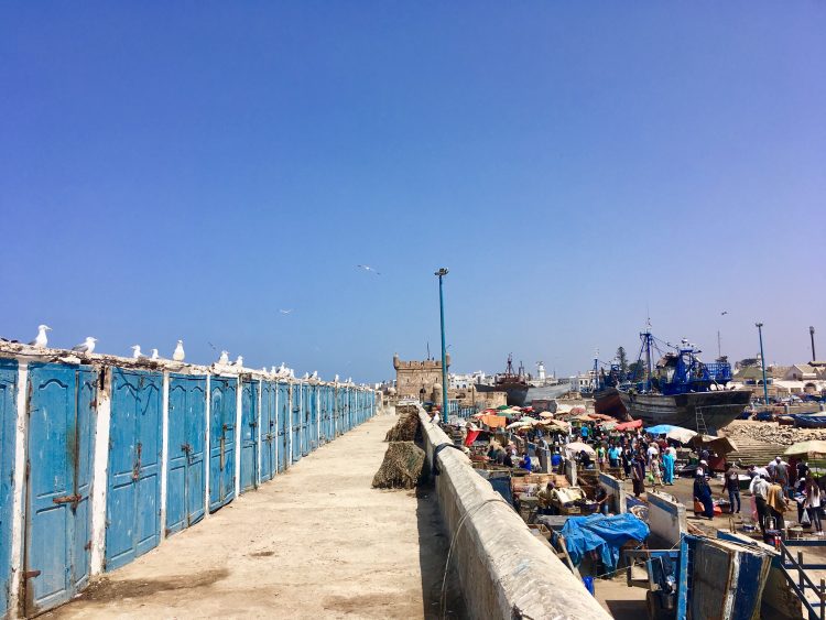 essaouira fish market morocco