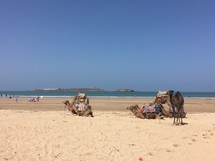 essaouira ocean