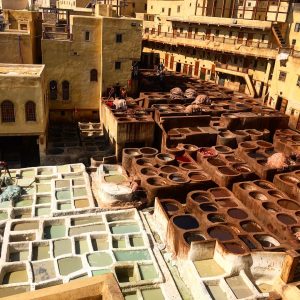 fes tannery