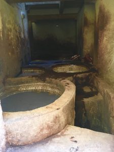 fez tannery