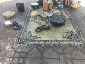 snakes morocco