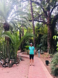 ysl morocco garden