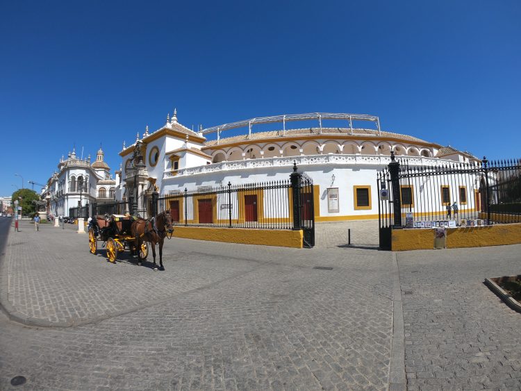 bull ring sevilla