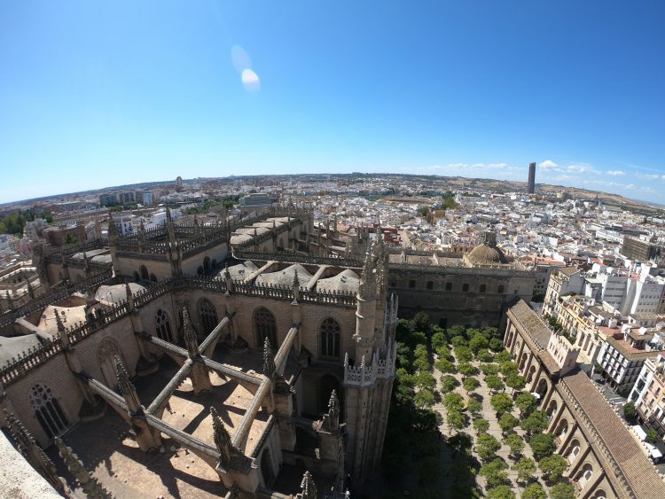 cathedral views